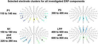 Emotion in Context: How Sender Predictability and Identity Affect Processing of Words as Imminent Personality Feedback